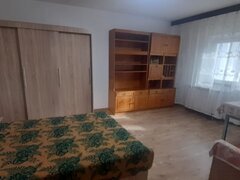 Colentina, Doamna Ghica